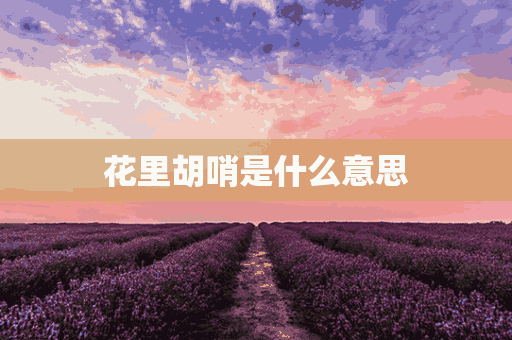 花里胡哨是什么意思